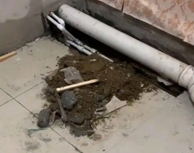 宾阳卫生间漏水检测哪家好