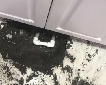 宾阳查漏水哪家好