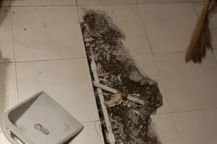 宾阳卫生间漏水检测电话
